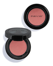 Load image into Gallery viewer, Artist Blush Shimmer